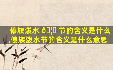 傣族泼水 🦈 节的含义是什么,傣族泼水节的含义是什么意思